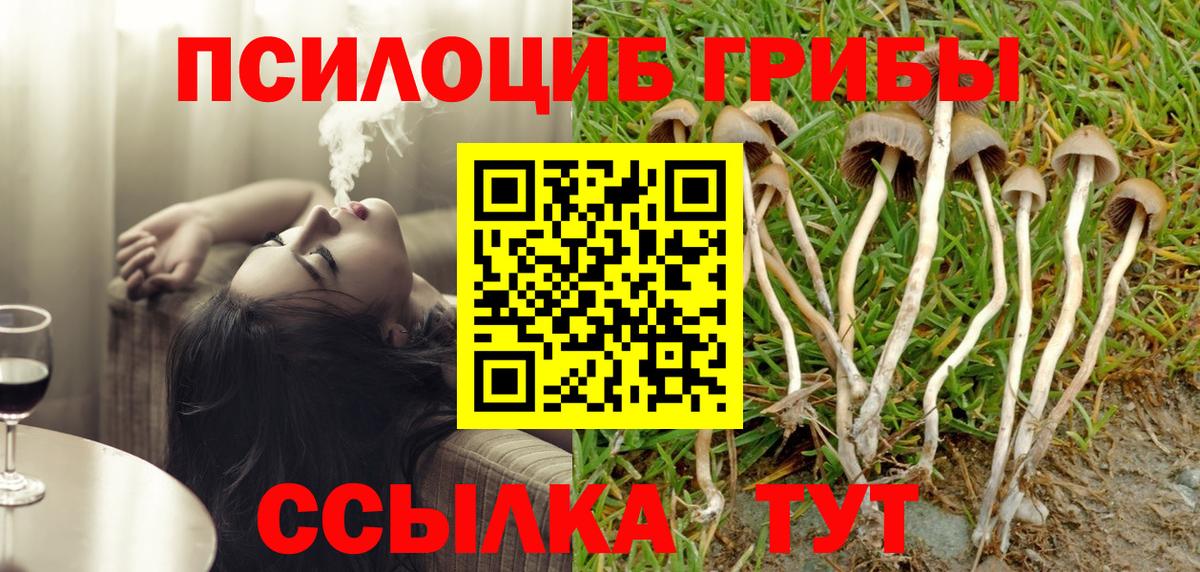 Екатеринбург  Галлюциногенные грибы Magic Shrooms  Вход с VPN  Псилоцибиновые грибы MAGIC MUSHROOMS 