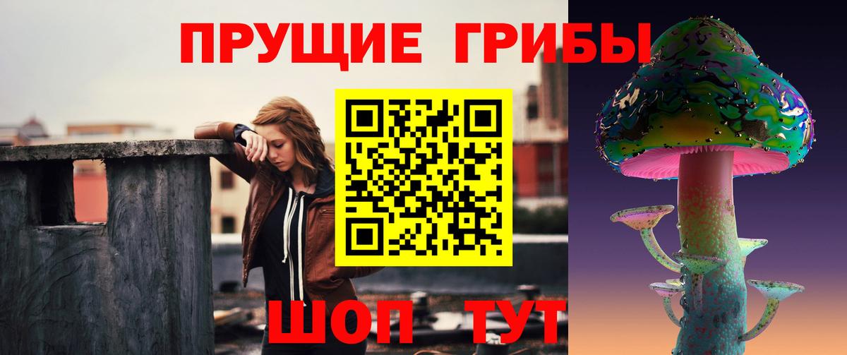 Псилоцибиновые грибы прущие грибы Екатеринбург